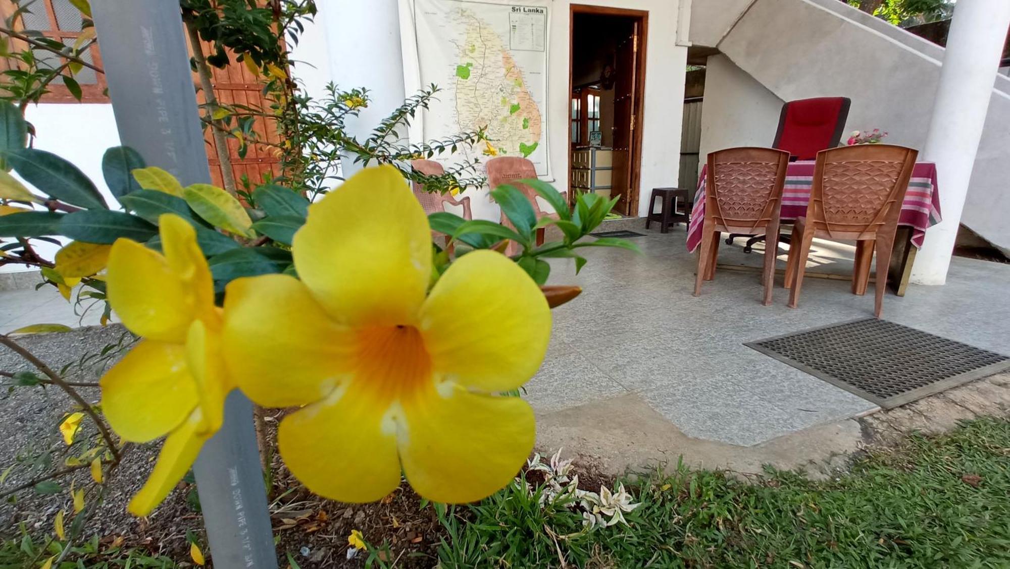 Family Resort Udawalawe Eksteriør bilde